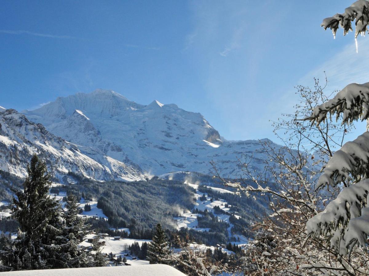 Apartment Eigersonne Wengen Exterior foto